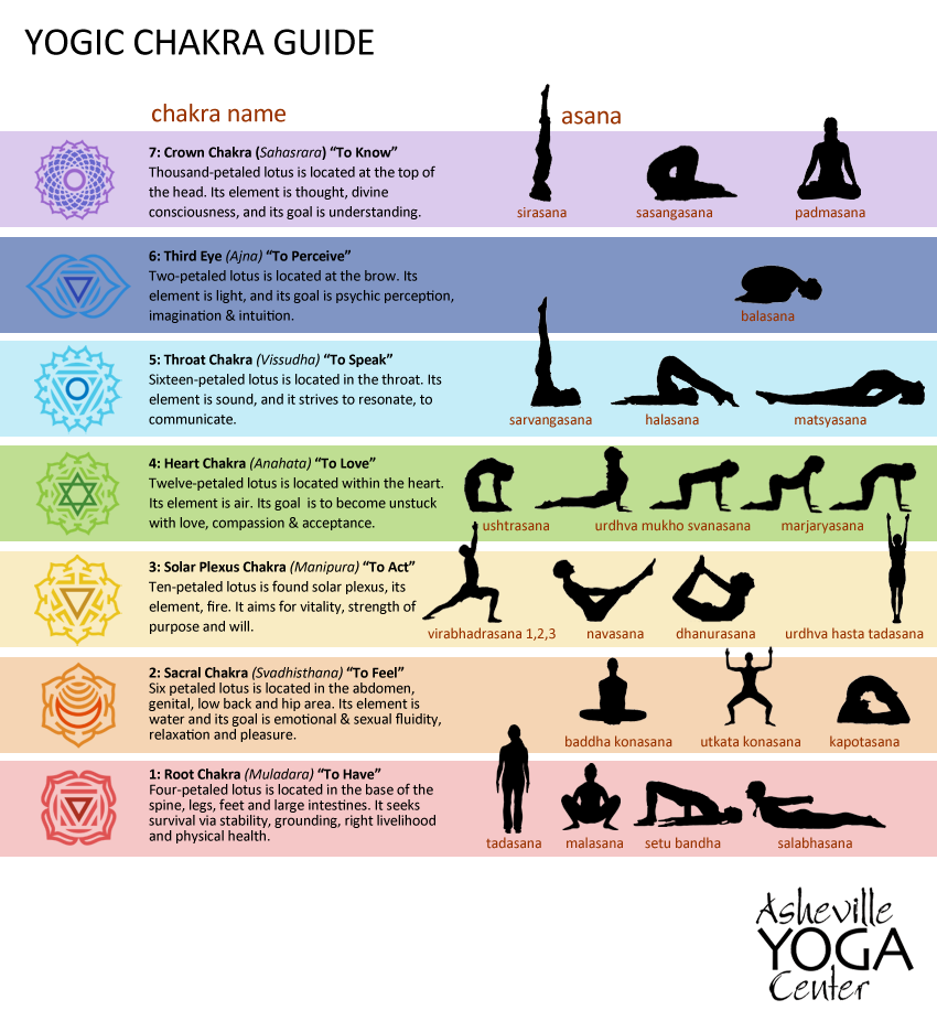 Yoga Chakra Guide Asheville Yoga Center Blog Post