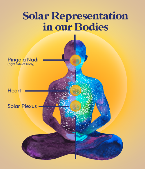 Solar Representation in our Bodies Solar Representation in our Bodies